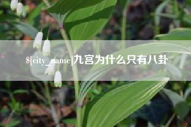定州九宫为什么只有八卦
