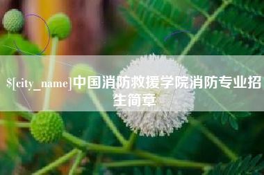 定州中国消防救援学院消防专业招生简章