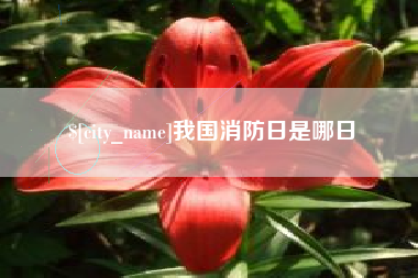 定州我国消防日是哪日