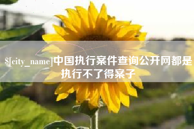 定州中国执行案件查询公开网都是执行不了得案子