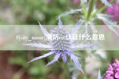 定州消防ccc认证什么意思