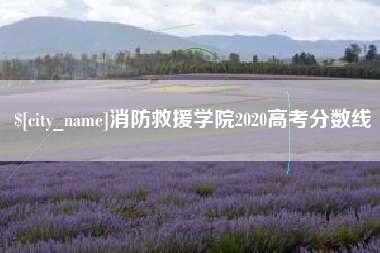 定州消防救援学院2020高考分数线