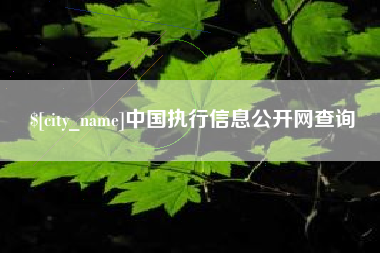 定州中国执行信息公开网查询