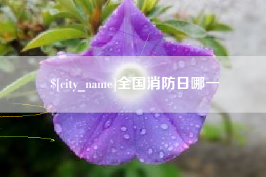定州全国消防日哪一