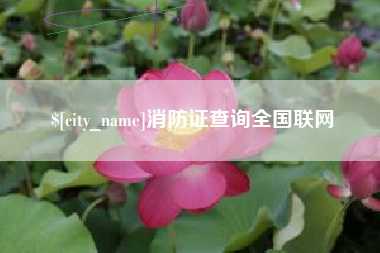 定州消防证查询全国联网