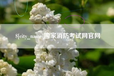 定州国家消防考试网官网