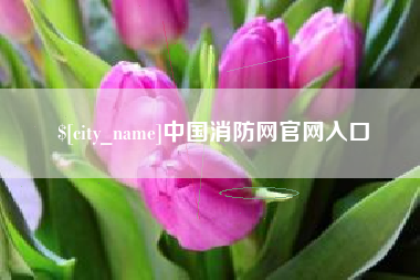 定州中国消防网官网入口