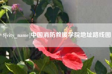 定州中国消防救援学院地址路线图