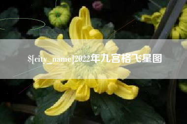 定州2022年九宫格飞星图