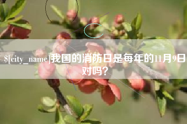 定州我国的消防日是每年的11月9日对吗？