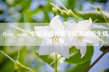 定州中国消防救援学院湖南招生情况公布
