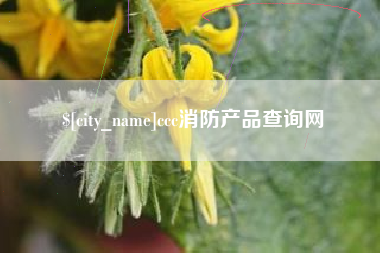 定州ccc消防产品查询网