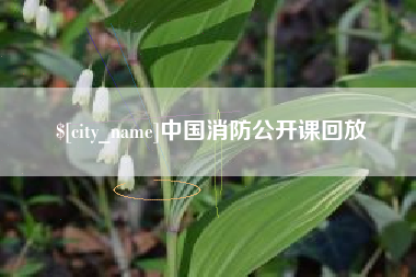 定州中国消防公开课回放