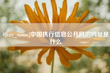 定州中国执行信息公开网的网址是什么