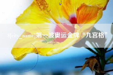 定州第一波奥运金牌“九宫格”