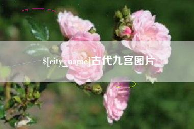 定州古代九宫图片