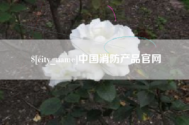 定州中国消防产品官网
