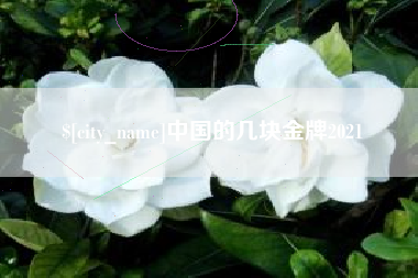 定州中国的几块金牌2021