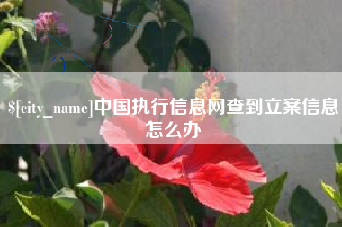 定州中国执行信息网查到立案信息怎么办
