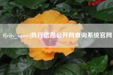 定州执行信息公开网查询系统官网