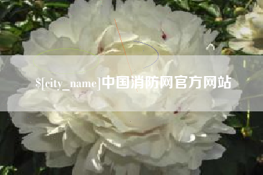定州中国消防网官方网站