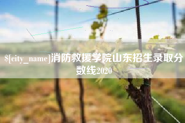 定州消防救援学院山东招生录取分数线2020