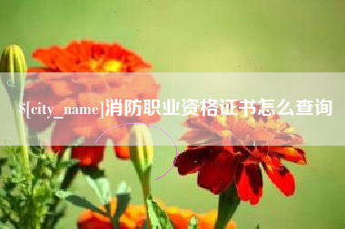 定州消防职业资格证书怎么查询