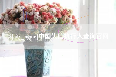 定州中国失信执行人查询官网