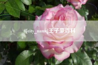 定州王子豪百科