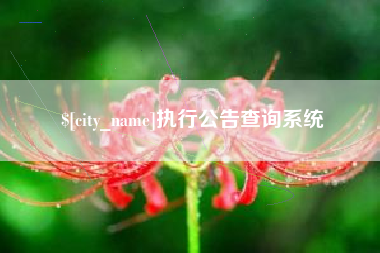 定州执行公告查询系统