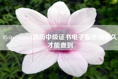 定州消防中级证书电子版查询多久才能查到