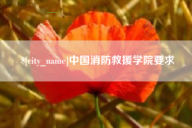 定州中国消防救援学院要求