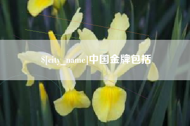 定州中国金牌包括
