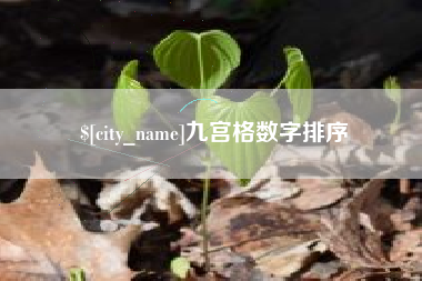 定州九宫格数字排序