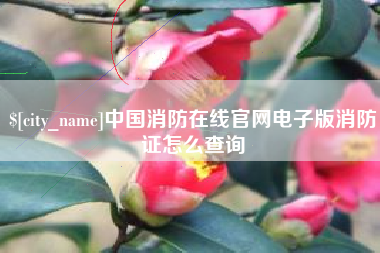 定州中国消防在线官网电子版消防证怎么查询