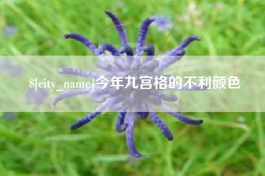 定州今年九宫格的不利颜色