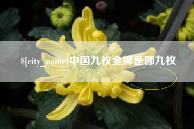 定州中国九枚金牌是哪九枚