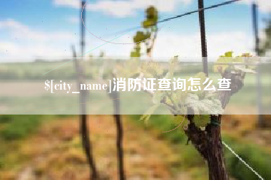 定州消防证查询怎么查