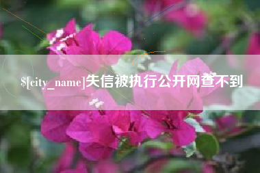 定州失信被执行公开网查不到