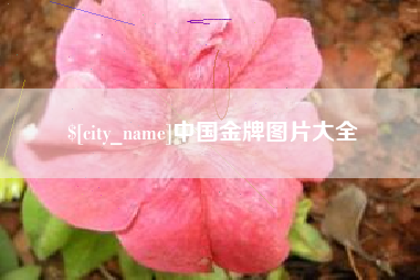 定州中国金牌图片大全