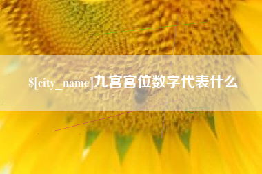 定州九宫宫位数字代表什么