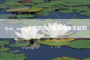 定州全国消防日是从哪年发起的