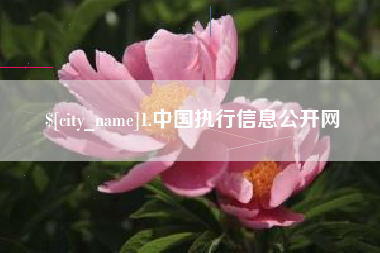 定州1.中国执行信息公开网