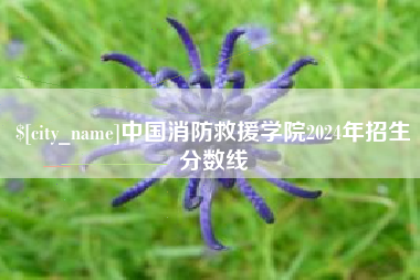 定州中国消防救援学院2024年招生分数线