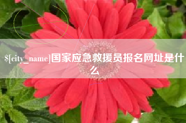 定州国家应急救援员报名网址是什么