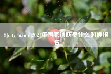 定州2021年国家消防员什么时候报名