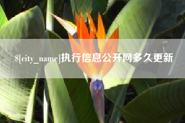 定州执行信息公开网多久更新