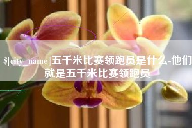 定州五千米比赛领跑员是什么-他们就是五千米比赛领跑员