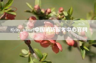 定州中国消防报考中心官网