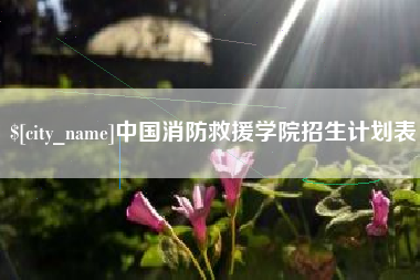 定州中国消防救援学院招生计划表